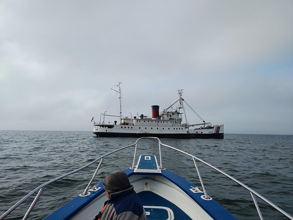 Starlink installation services for ships
