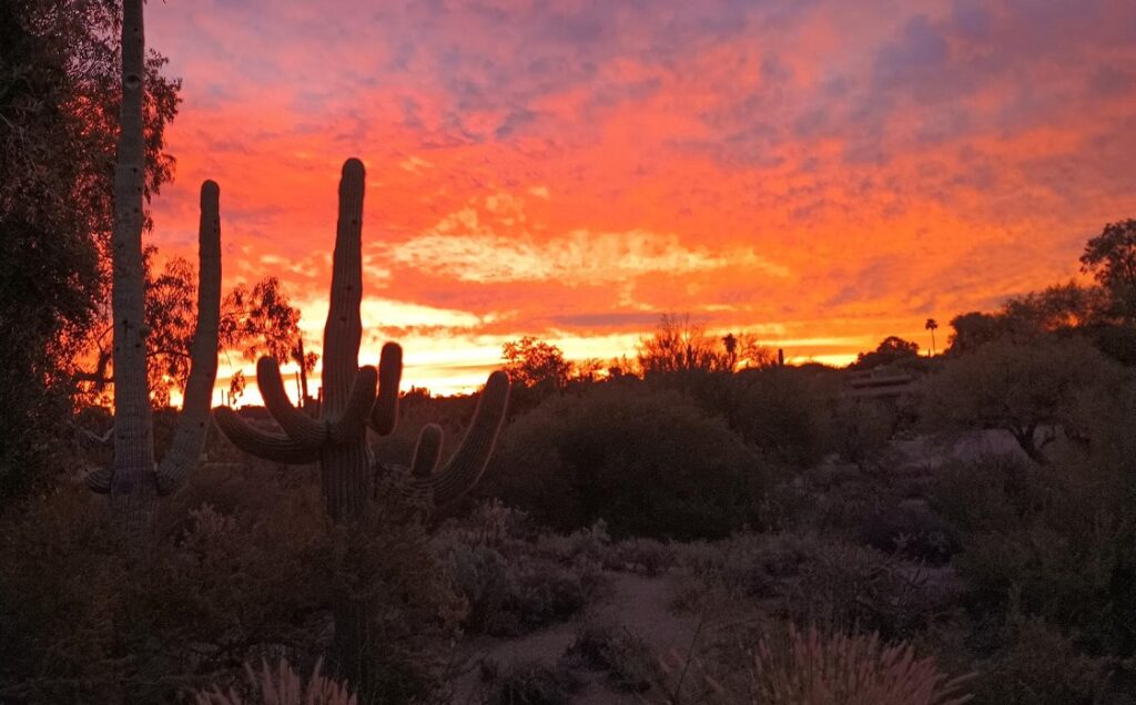 Carefree AZ Starlink Installation