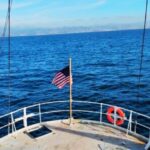 Starlink Marine camera installation