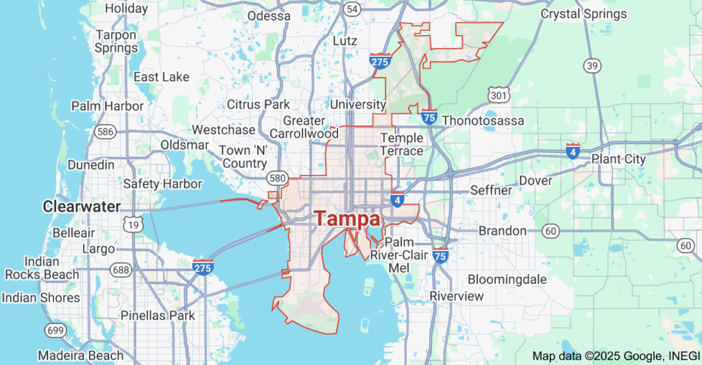 Best Starlink installers Tampa FL