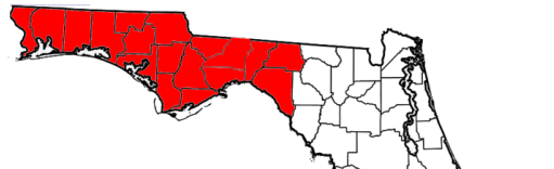 FL Panhandle Starlink installation services