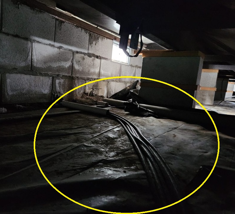 Starlink cable routing and passthrough Bonanza OR